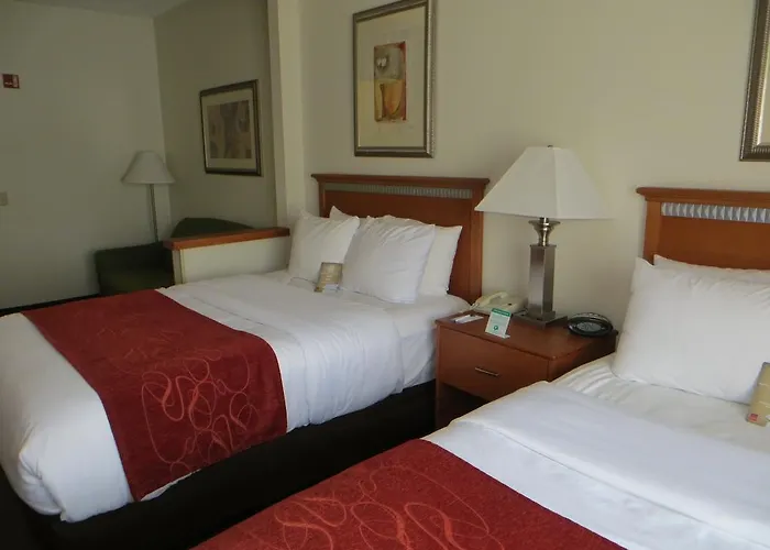 Hotel Comfort Normal Area Bloomington