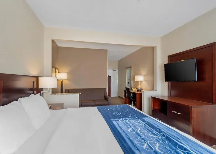 Comfort Normal Area 4*