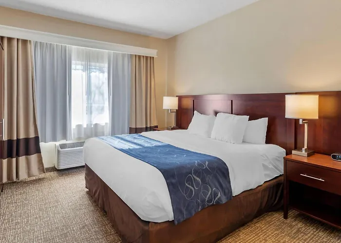 Comfort Normal Area 4* Bloomington