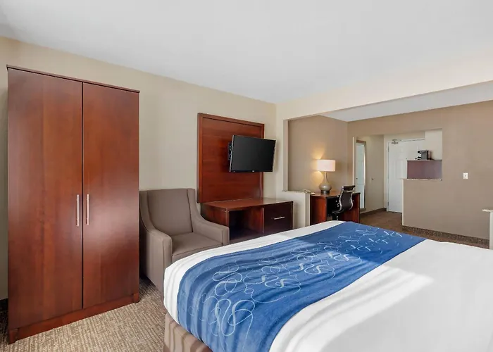 Comfort Normal Area Hotel Bloomington