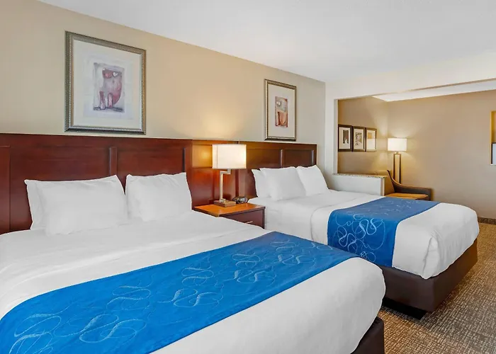 Comfort Normal Area 4*