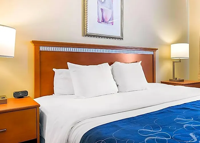 Hotel Comfort Normal Area