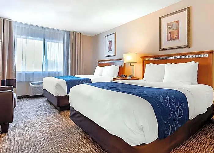 Comfort Normal Area Hotel 4*