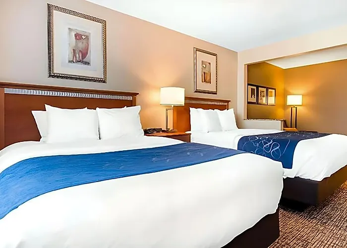 Hotel Comfort Normal Area Bloomington
