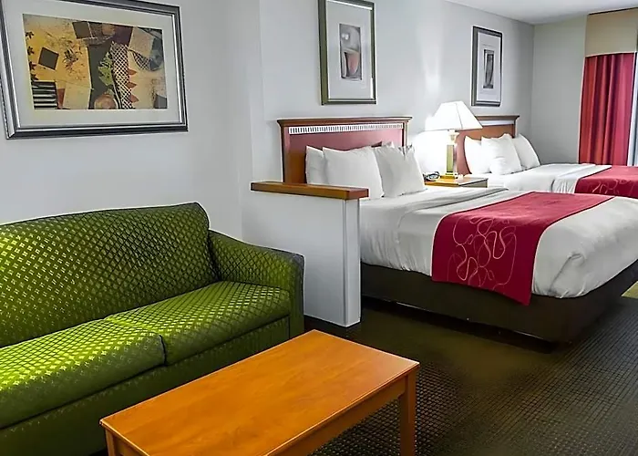 Comfort Normal Area Hotel