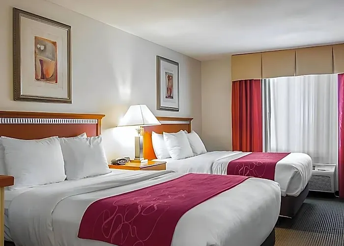 Comfort Normal Area 4*