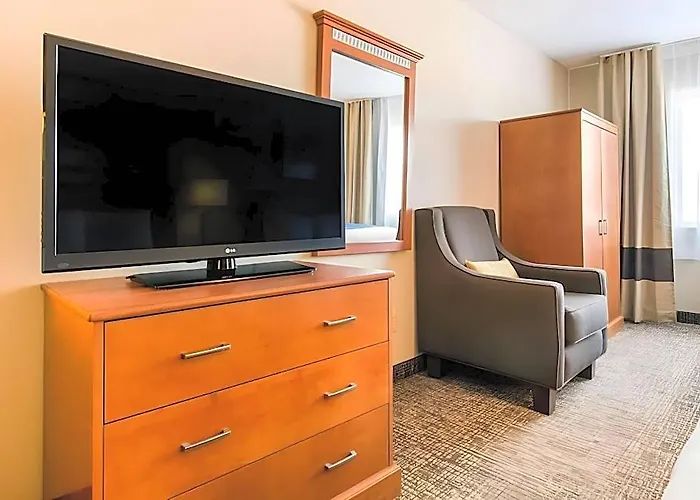Comfort Normal Area Hotel Bloomington