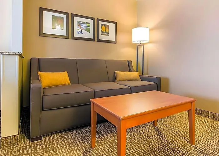 Hotel Comfort Normal Area Bloomington