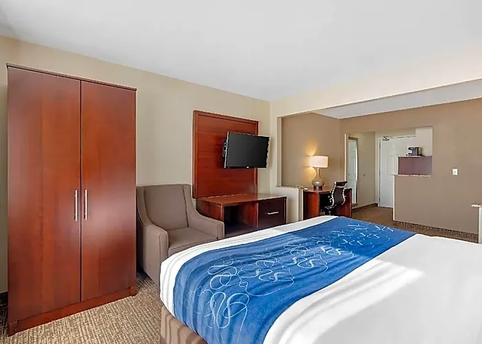 Hotel Comfort Normal Area 4*