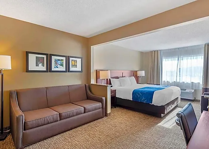 Comfort Normal Area 4*