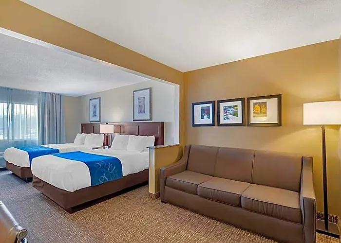 Hotel Comfort Normal Area Bloomington