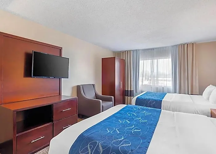 Hotel Comfort Normal Area 4*