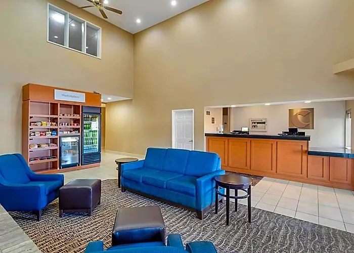 Comfort Normal Area Hotel 4*