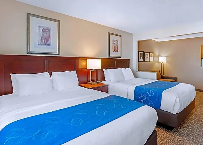 Comfort Normal Area Hotel 4*