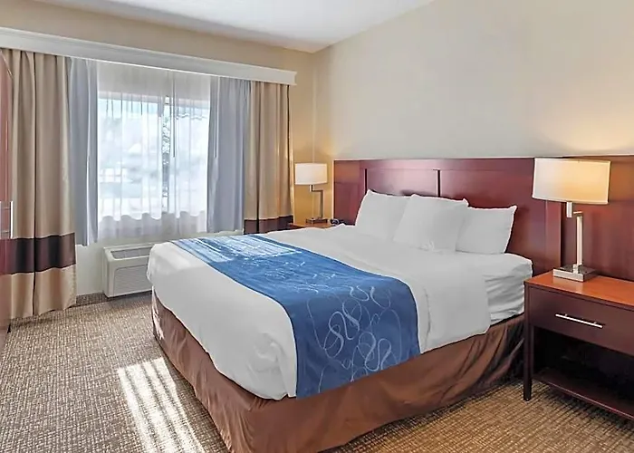 Comfort Normal Area 4* Bloomington