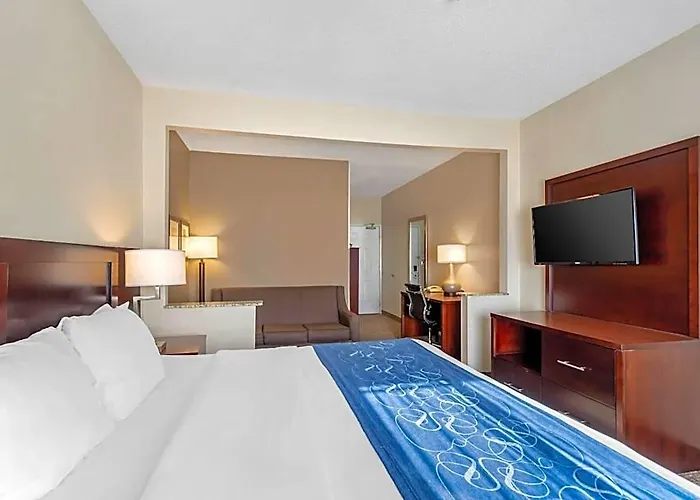 Hotel Comfort Normal Area Bloomington