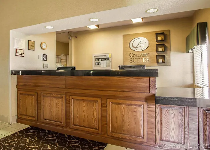 Comfort Normal Area Hotel
