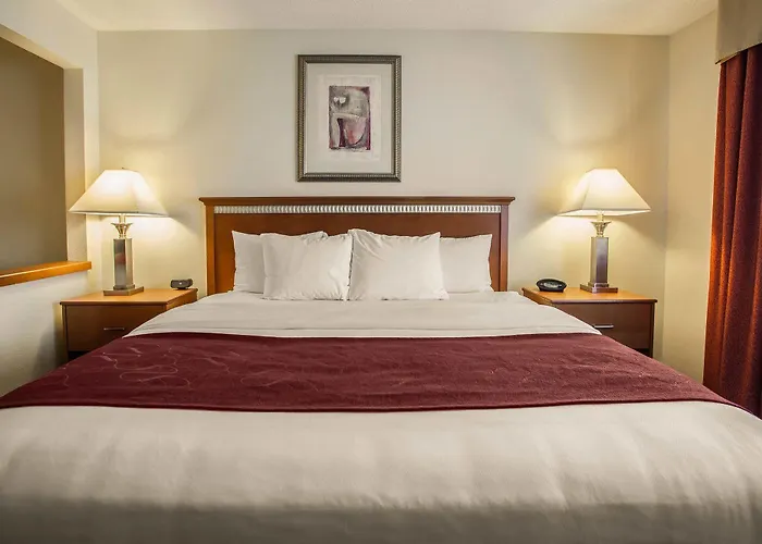 Hotel Comfort Normal Area 4*