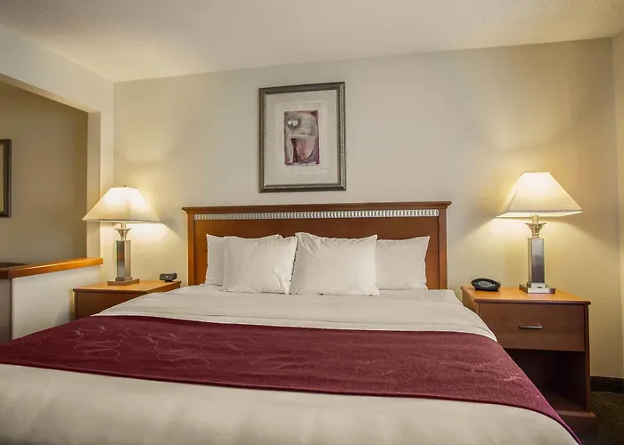 Comfort Normal Area 4*