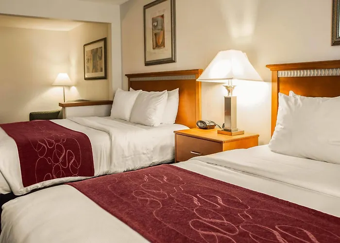 Comfort Normal Area Hotel